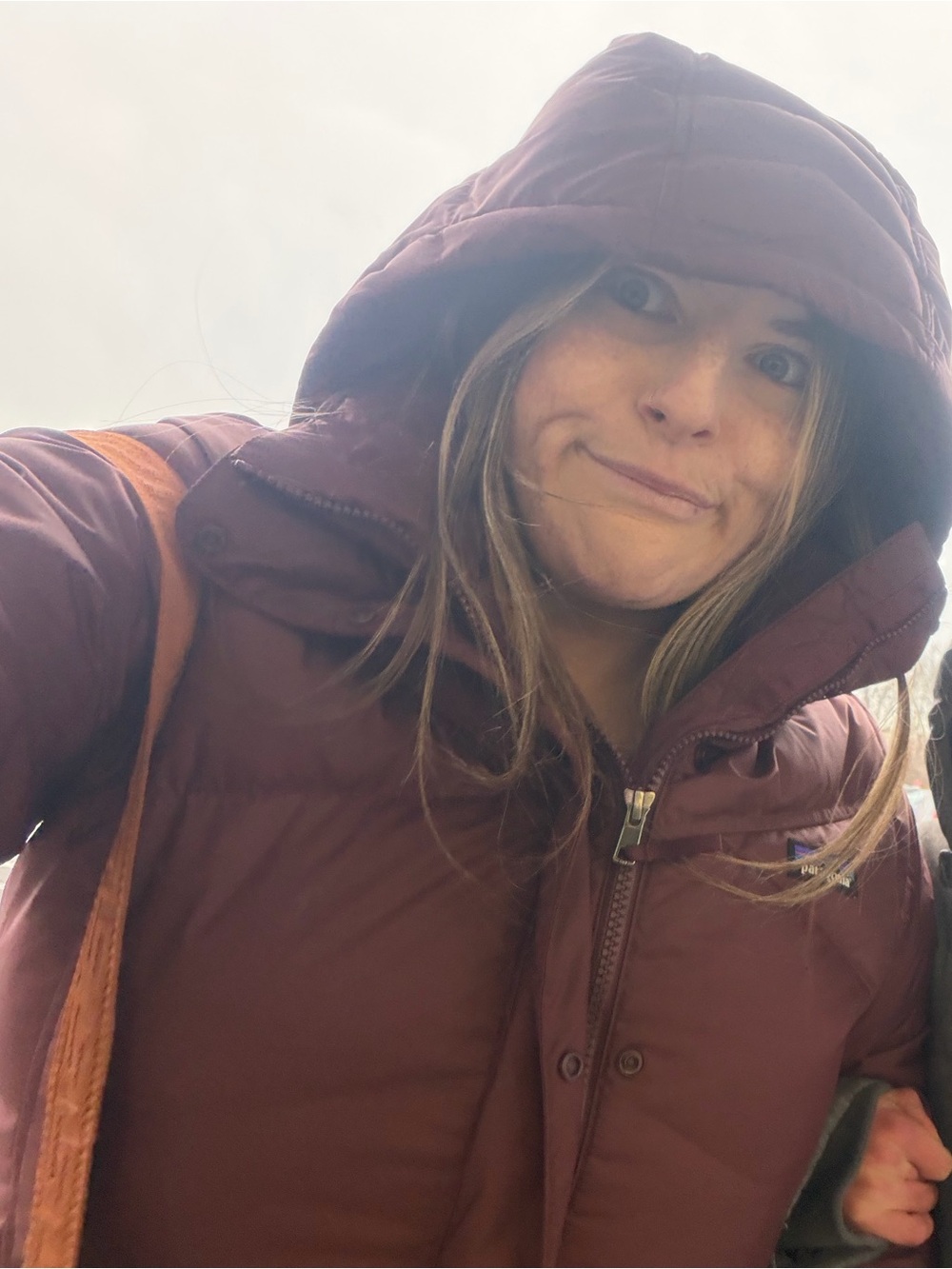 Patagonia Jacket Down With It Jacket (with hood) size Large - Picture 3 of 3